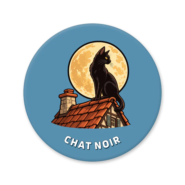 Black cat on an Alsatian roof