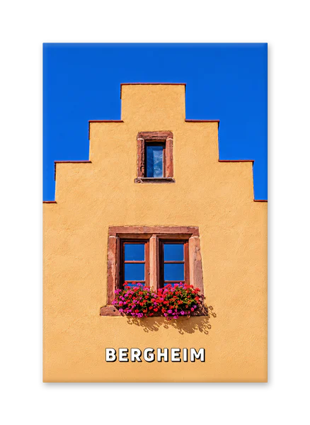 Sunlit Façade and Flower-Filled Window in Bergheim