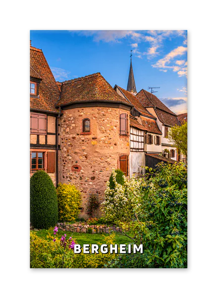 Historic Houses and a Flowering Garden in Bergheim