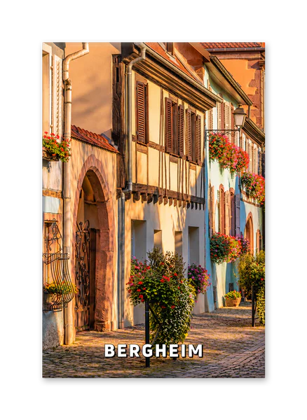 Flower-Filled Façades Along a Bergheim Street